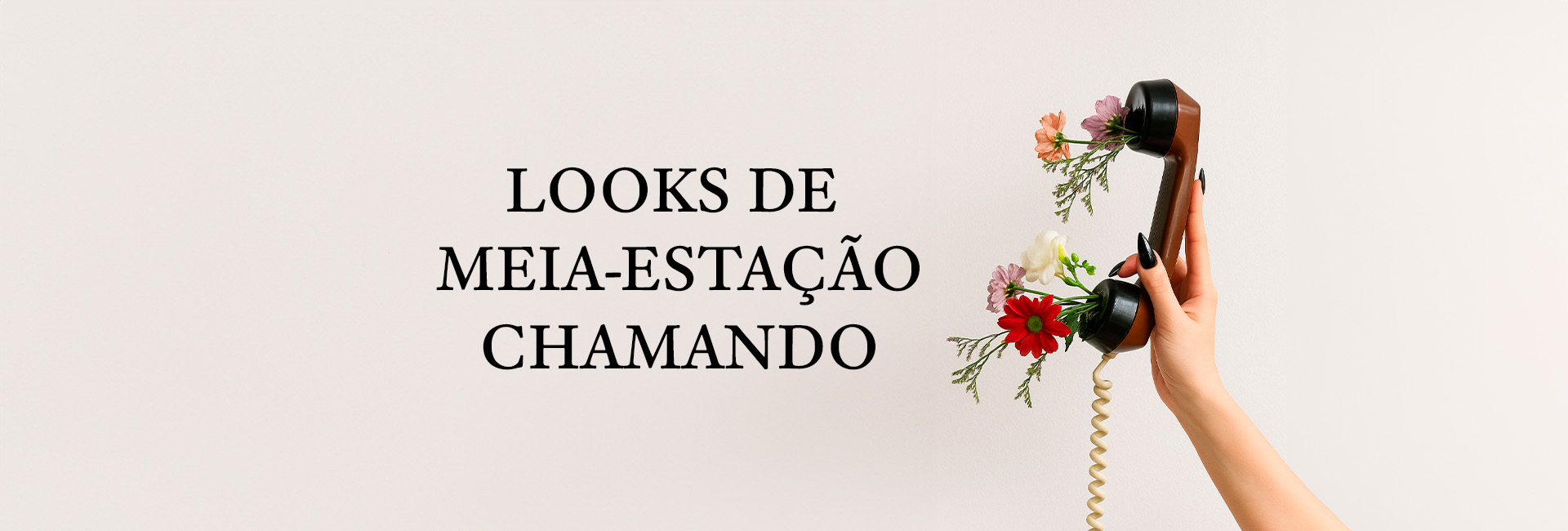 Tanara Brasil